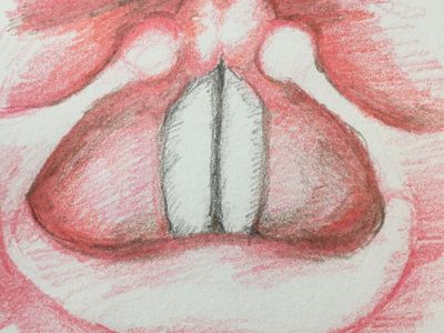 Voice - Trudy Lynch Speech Pathology